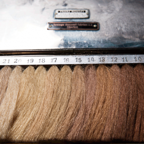 Eugen Fischer’s hair-color scale 
