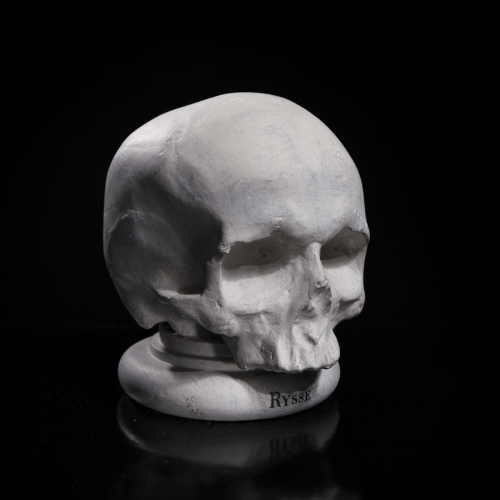 Phrenological “national” skull 